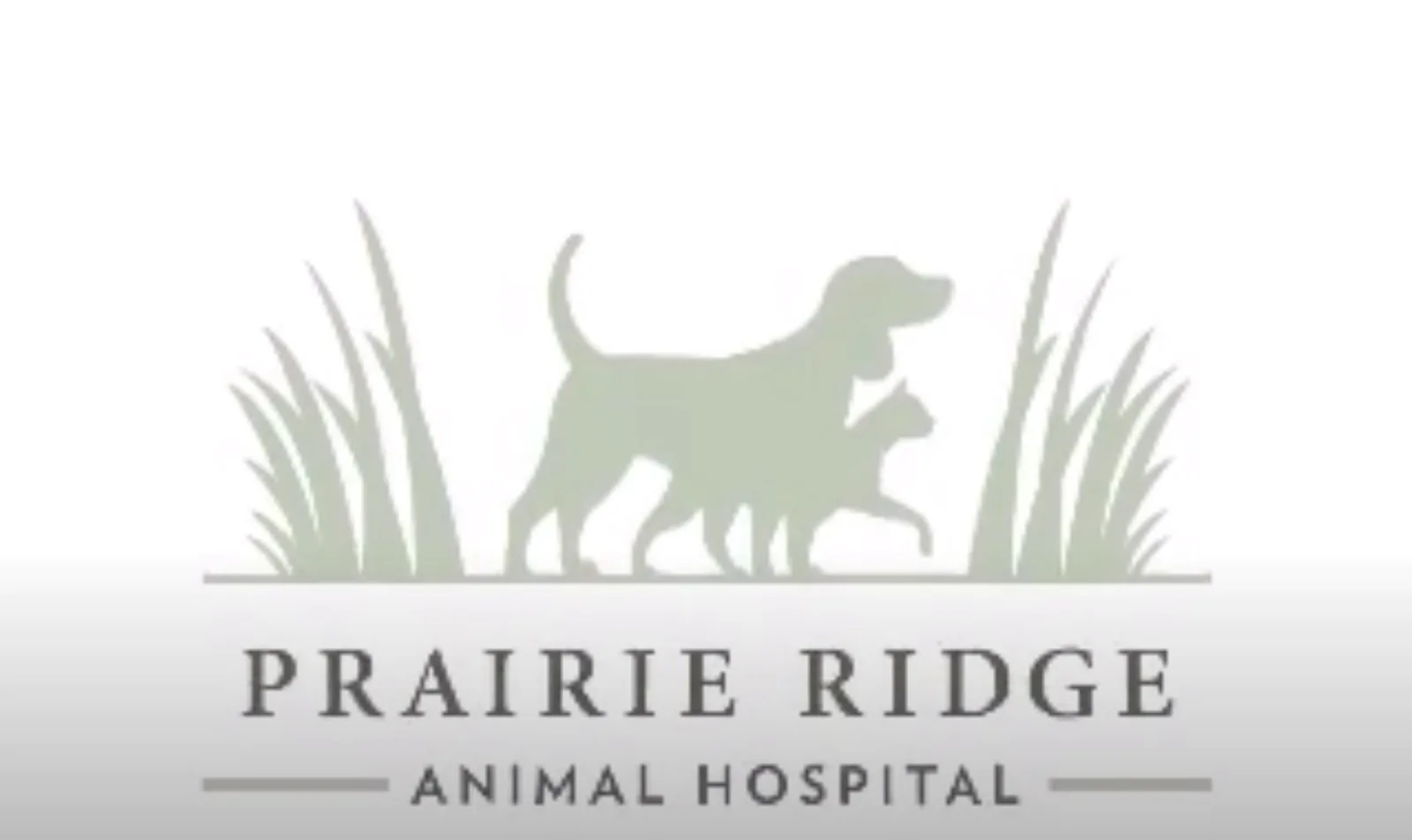 Prairie Ridge Animal Hospital Virtual Tour YouTube